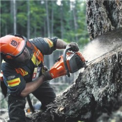 Husqvarna 545 Mark II 15" Chainsaw